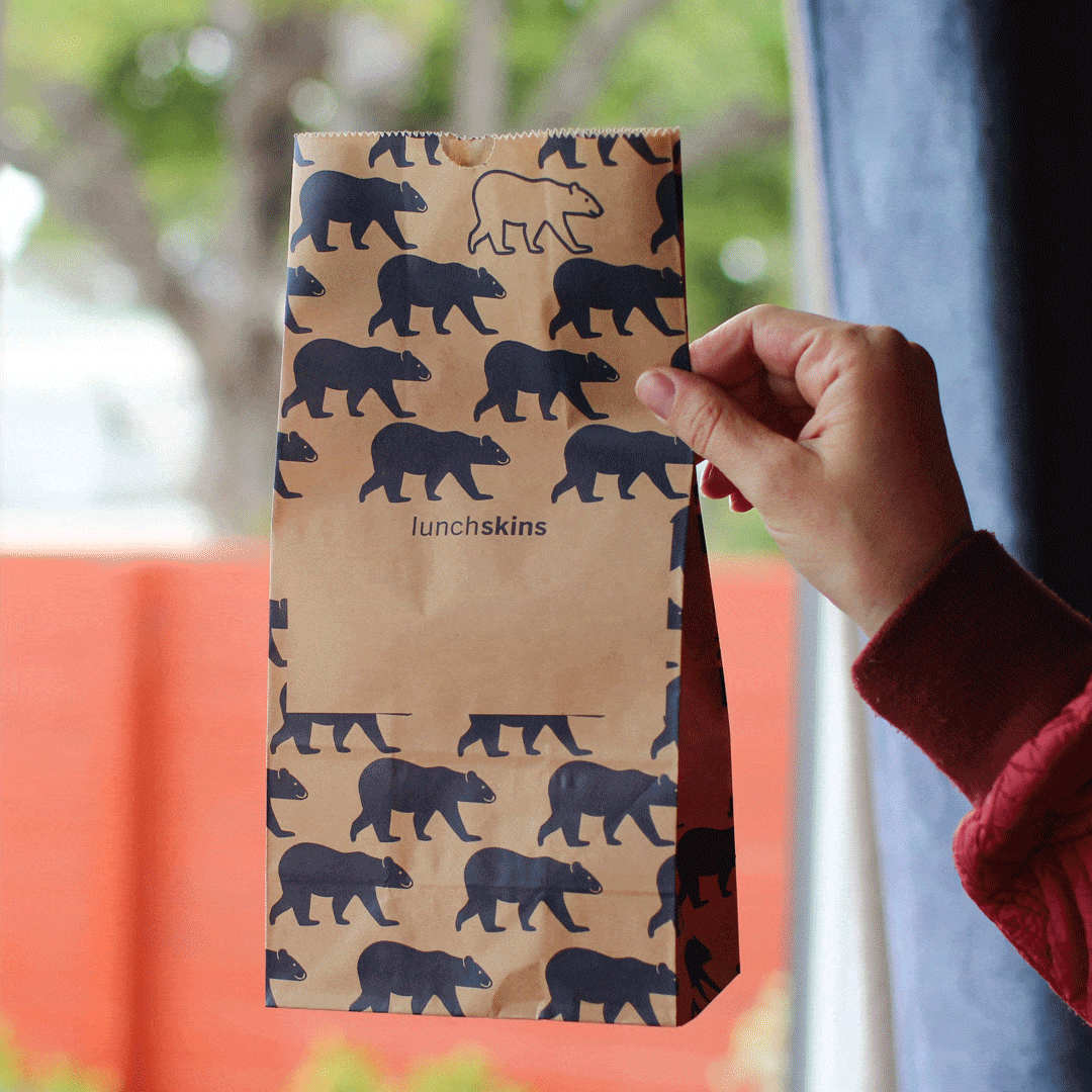 Image of Recyclable Paper Lunch Sacs Variety Pack - Lunchskins